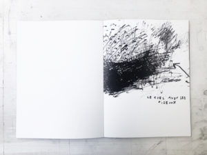  the mourning dove / illustration 3