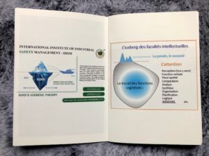 La théorie/thérapie de l’iceberg / illustration 5