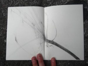 Sans Titre / illustration 1
