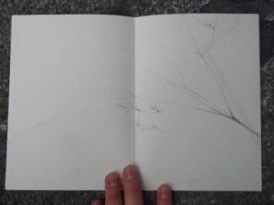 Sans Titre / illustration 2