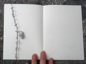 Sans Titre / illustration 3