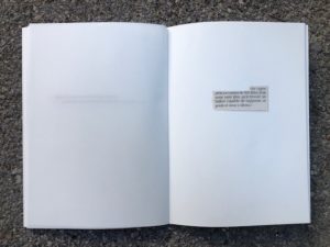 l’instant du cygne / illustration 3