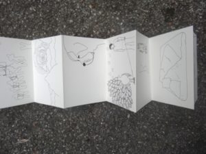  / illustration 1
